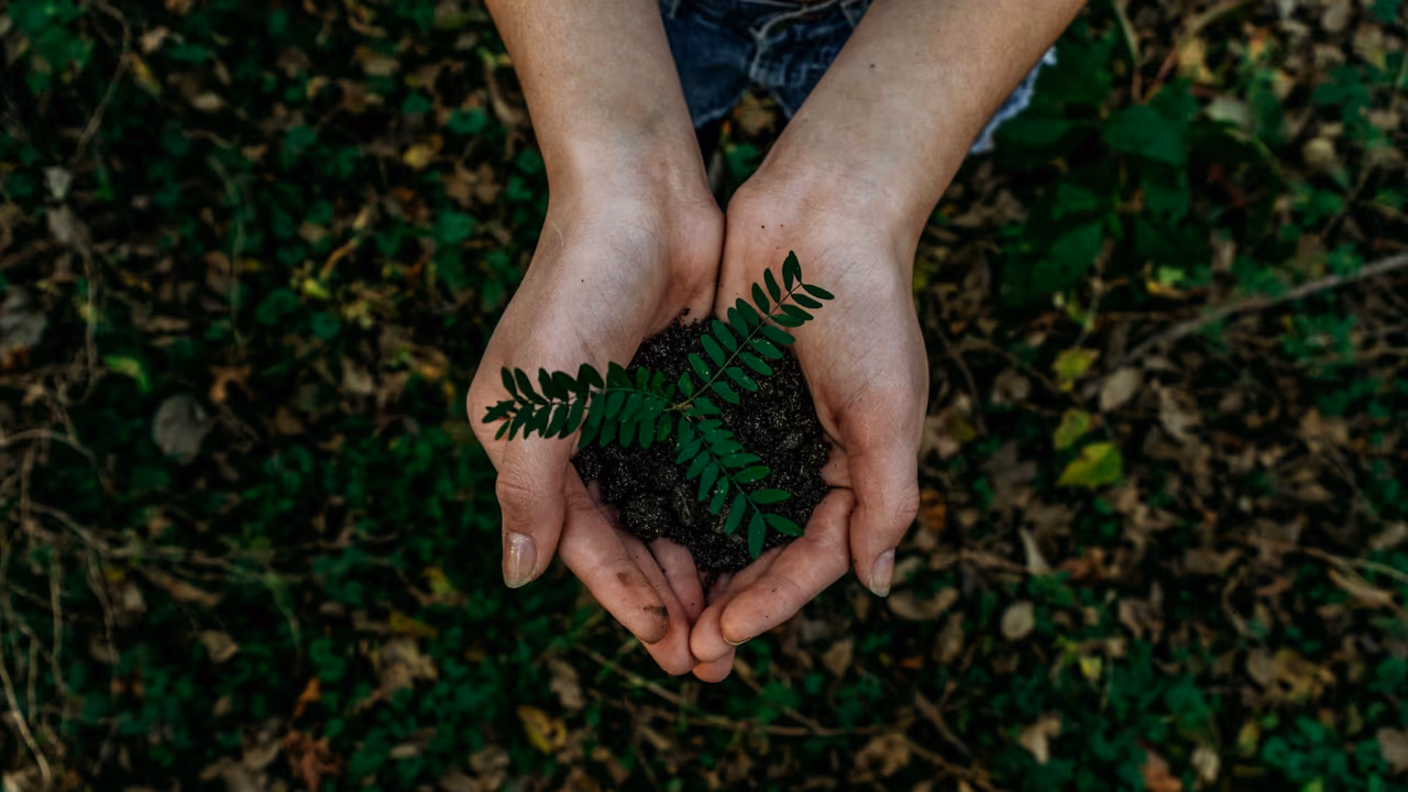 Jak ekologicznie używać klimatyzacji w aucie przez cały rok